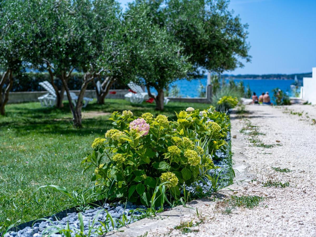 Apartmani Vinko Bibinje Exterior foto